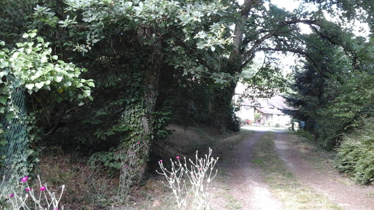 Les Grandes Oreilles Vierzon Exterior foto